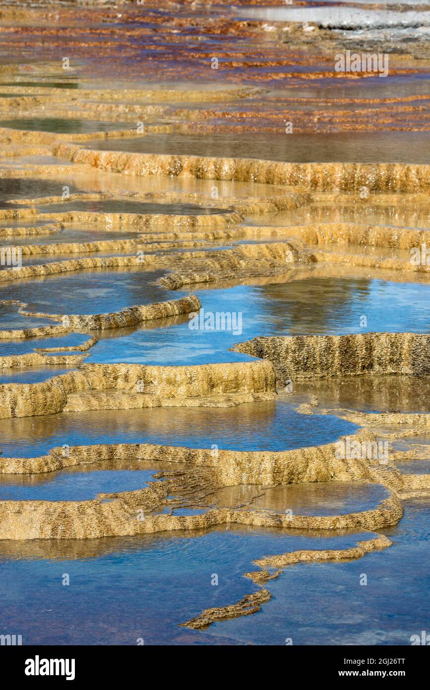 États-Unis, Wyoming. Formation de dépôts minéraux. Mammoth Hot Springs, parc national de Yellowstone. Banque D'Images