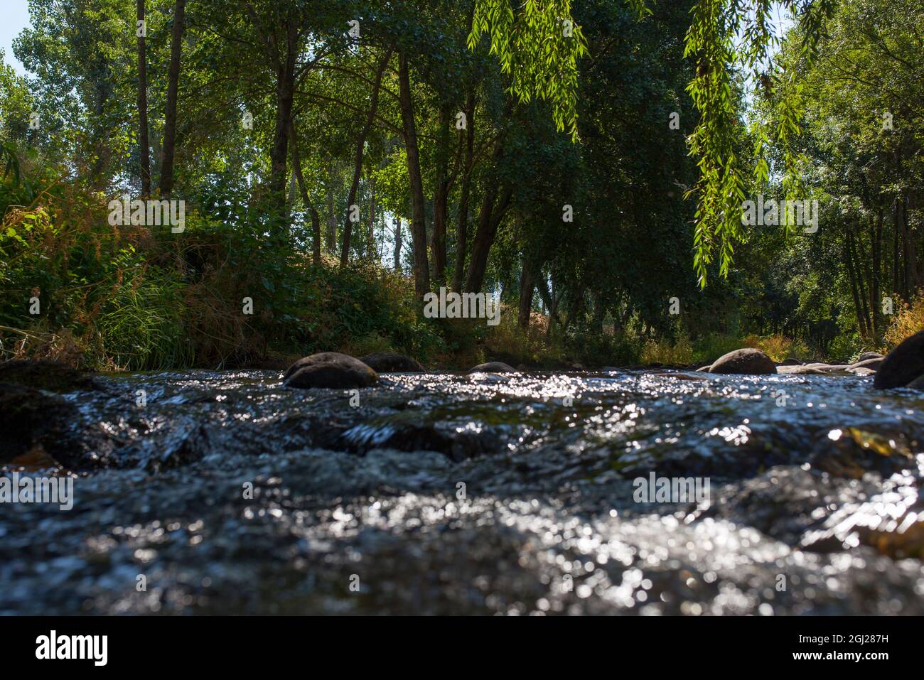 Rivière Ambroz en cours d'exécution à côté du village d'Abadia. Caceres, Estrémadure, Espagne Banque D'Images