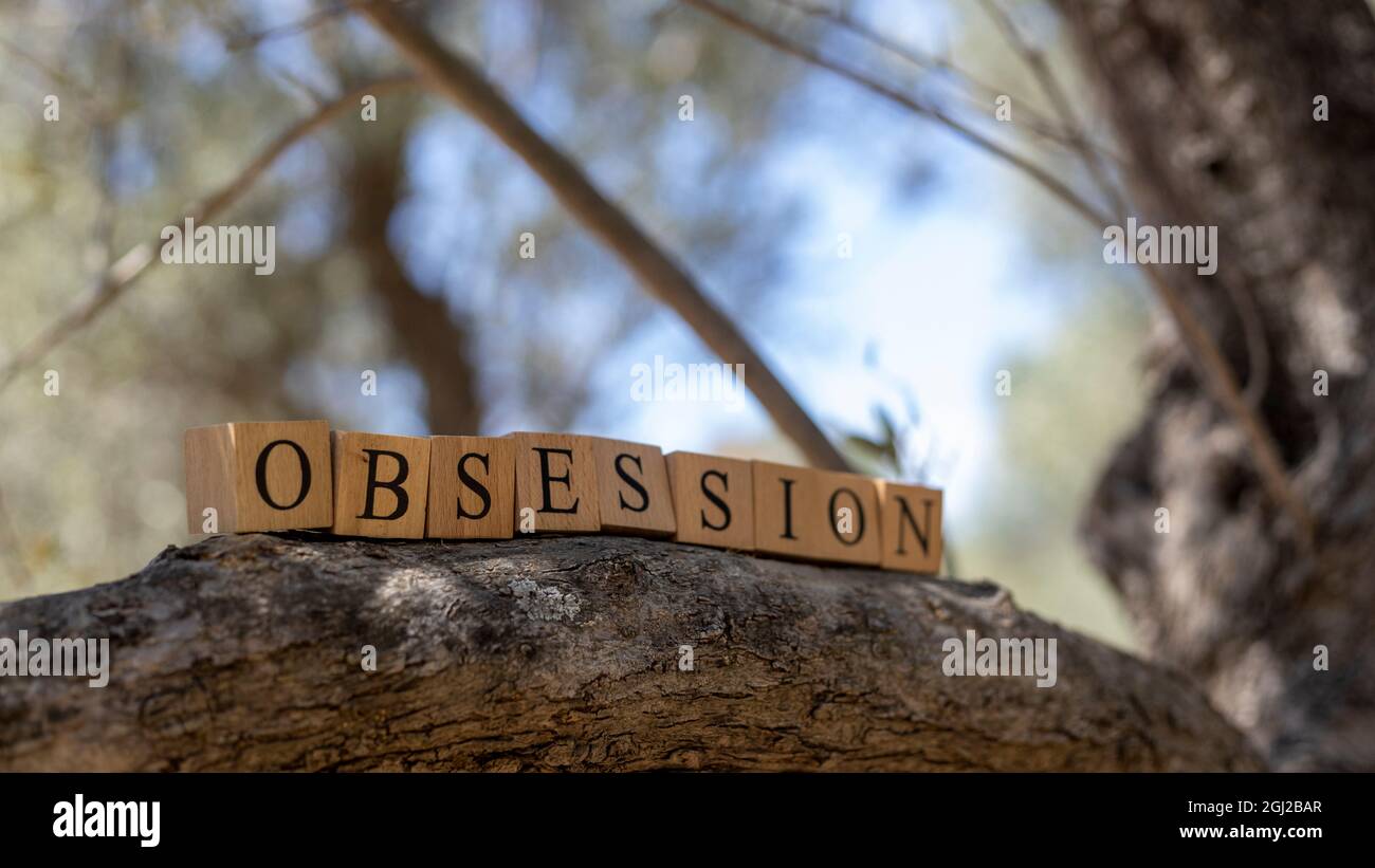 Le mot OBSESSION a été créé à partir de cubes en bois. Prise à l'extérieur sur une branche d'arbre. Gros plan Banque D'Images