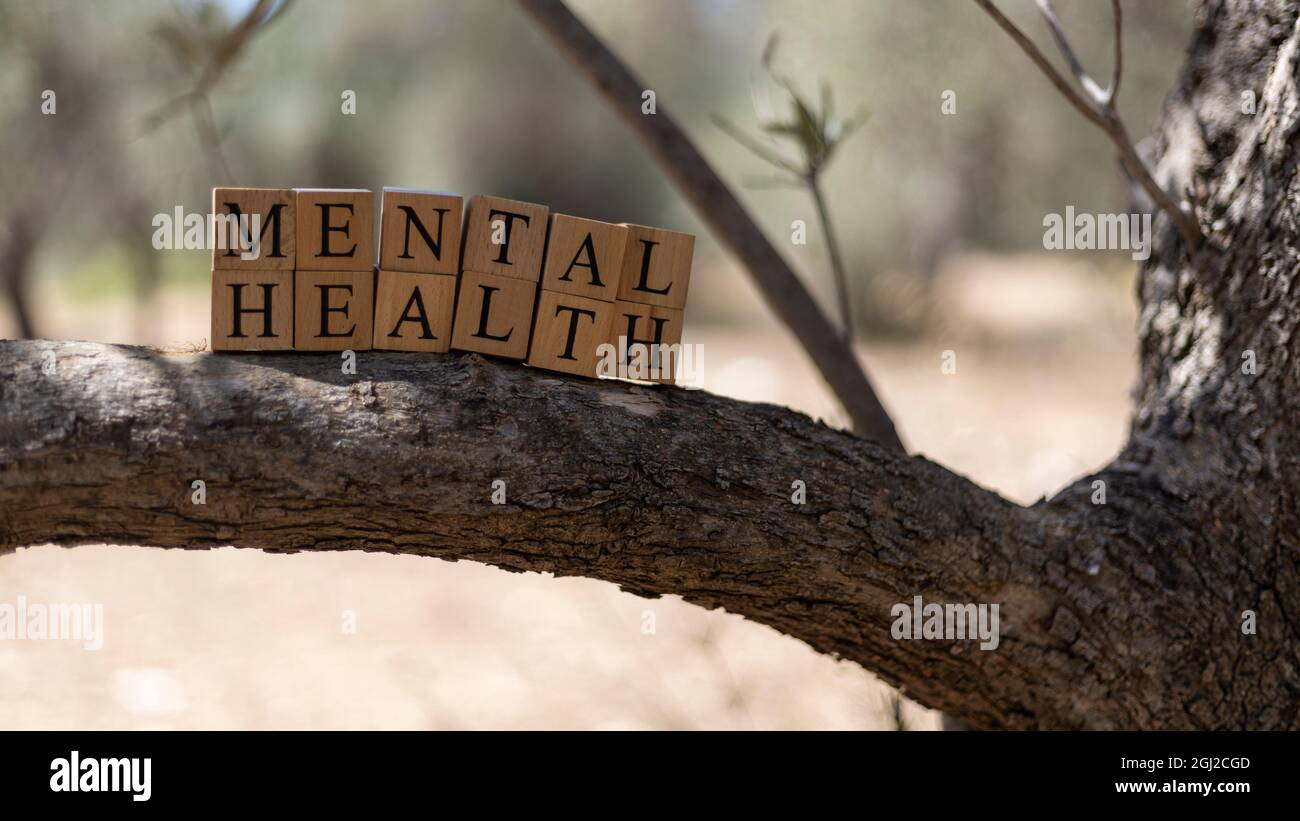 Le mot Santé mentale a été créé à partir de cubes en bois. Prise à l'extérieur sur une branche d'arbre. Gros plan Banque D'Images