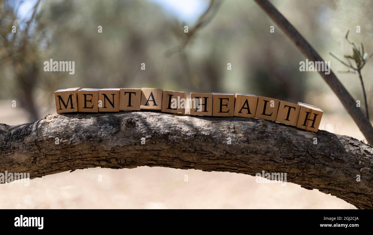 Le mot Santé mentale a été créé à partir de cubes en bois. Prise à l'extérieur sur une branche d'arbre. Gros plan Banque D'Images