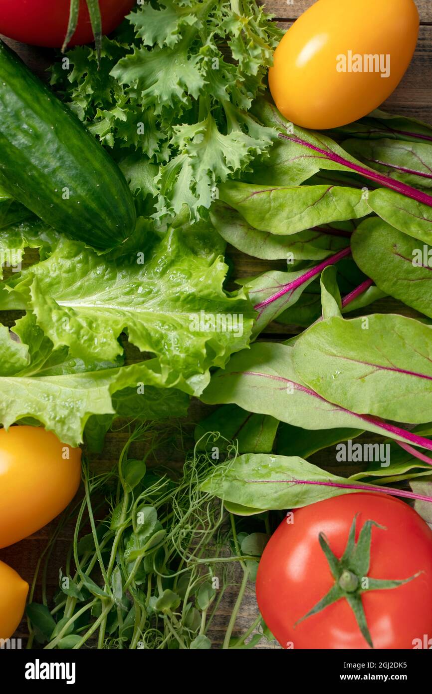 vue de dessus de différents types de salade avec des légumes. fond végétal. le concept de