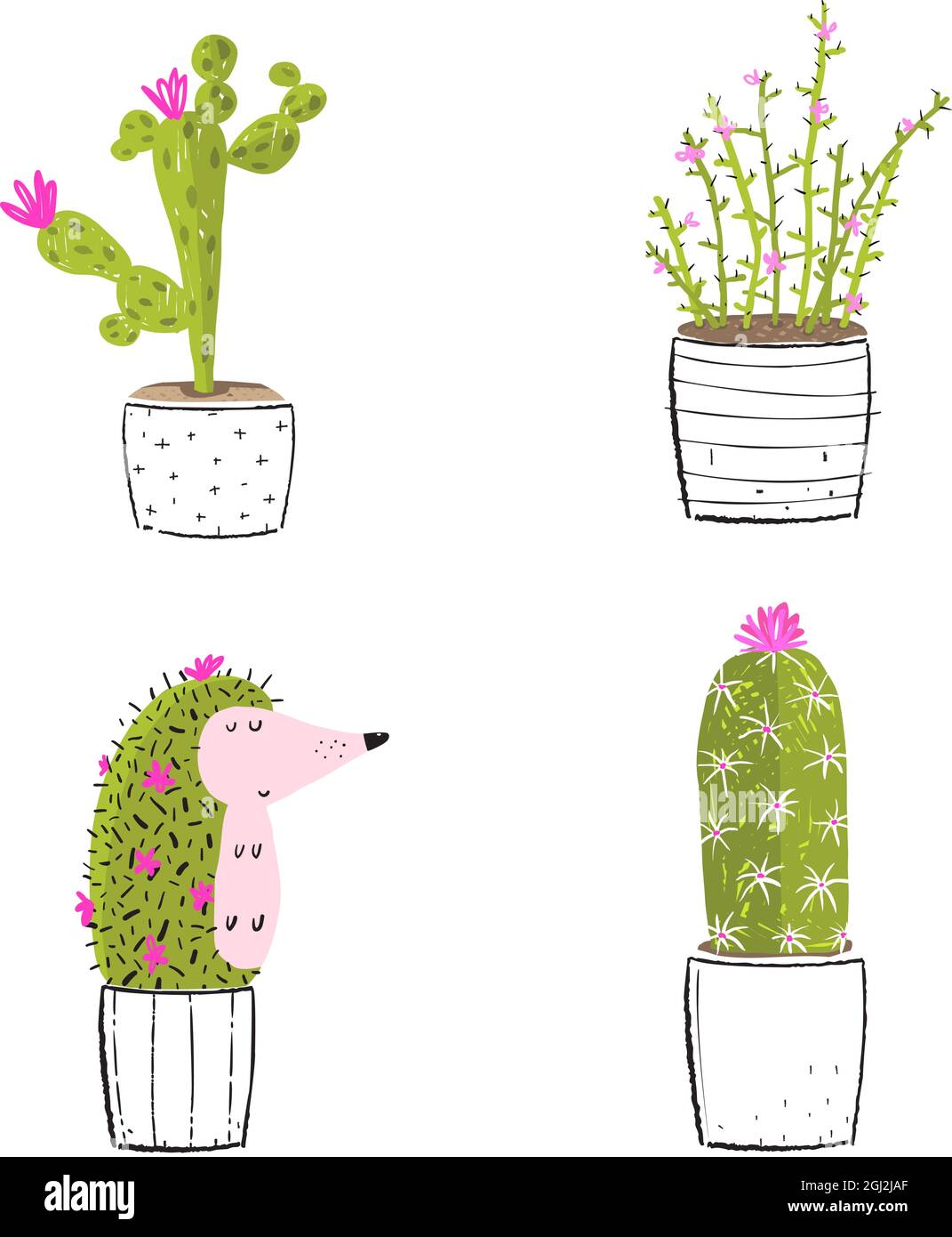 Cactus et succulent avec Hedgehog Funny Clipart Illustration de Vecteur