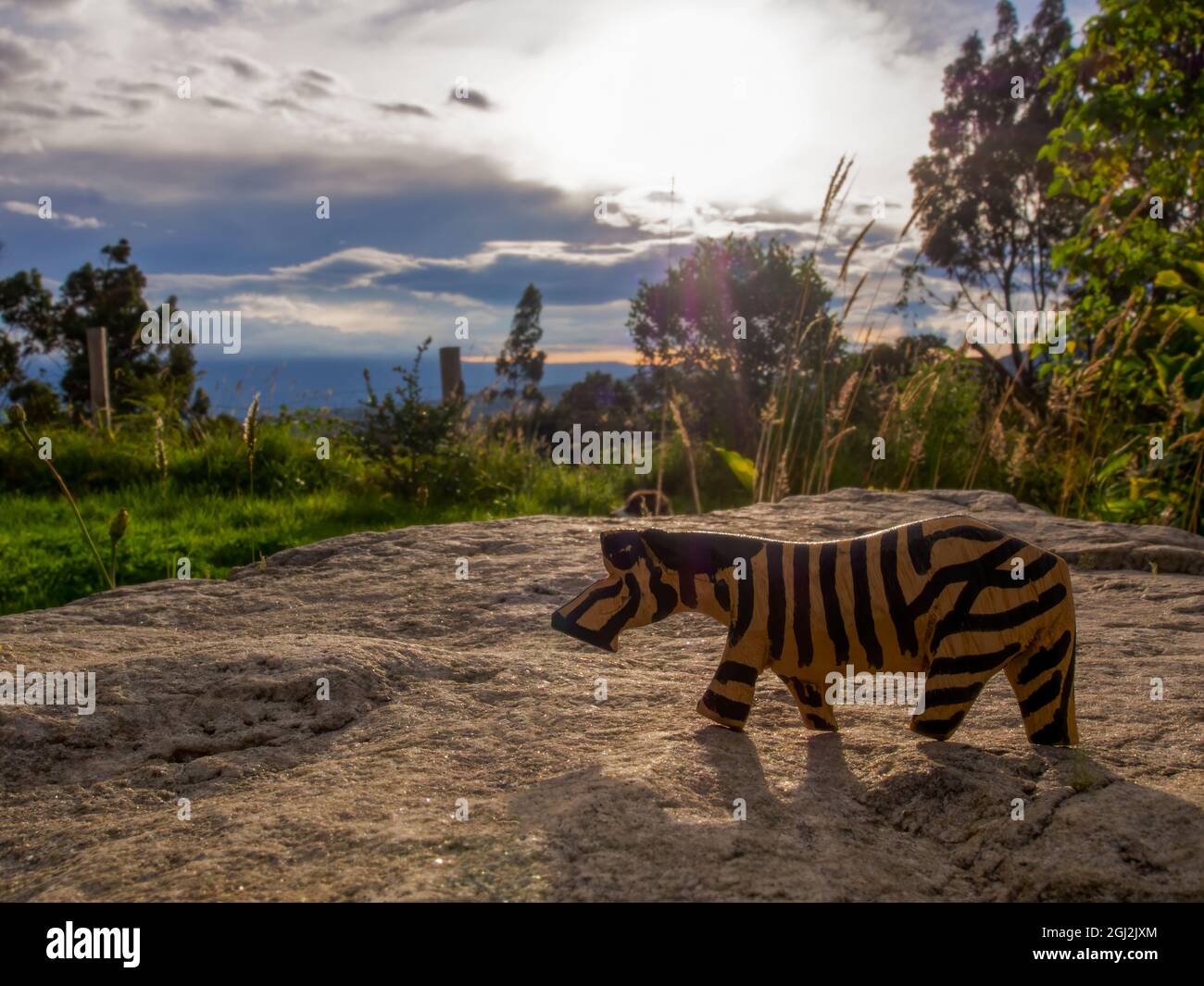 Figurines d'animaux en bois faites à la main photographiées dans des environnements naturels au coucher du soleil dans une ferme près de la ville coloniale de Villa de Leyva, à Colomb Banque D'Images