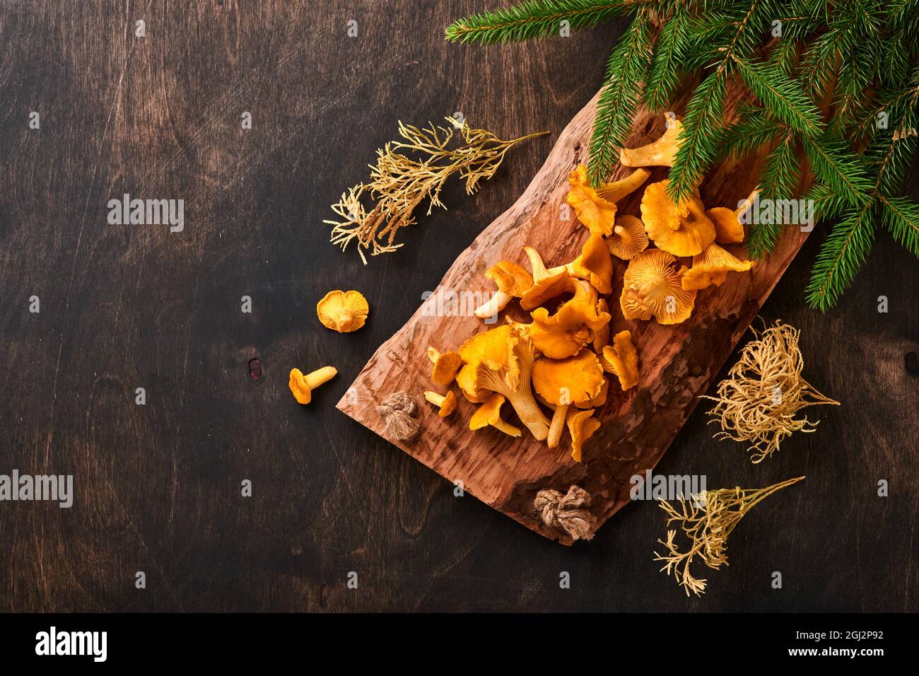 Chanterelles de champignons de la forêt et mousse de forêt sur un vieux fond en bois. Crues non cuites dans un bol en rotin sur fond de texture marron. Maquette. À Banque D'Images