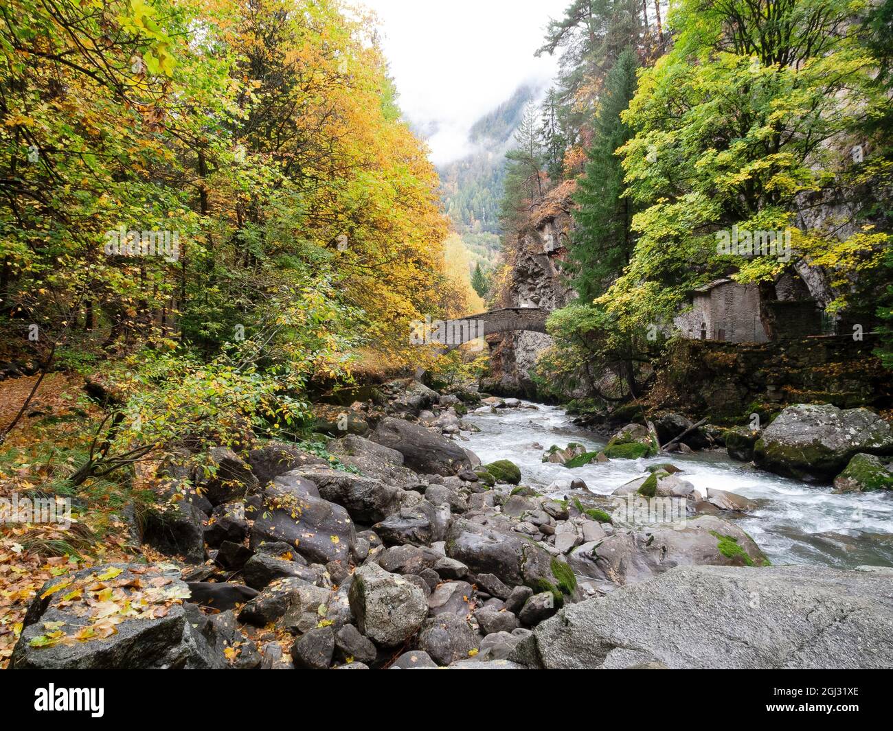 Pré Saint Didier, Aoste, Italie : dans l'Orrido, le fleuve coule dans un paysage d'automne Banque D'Images