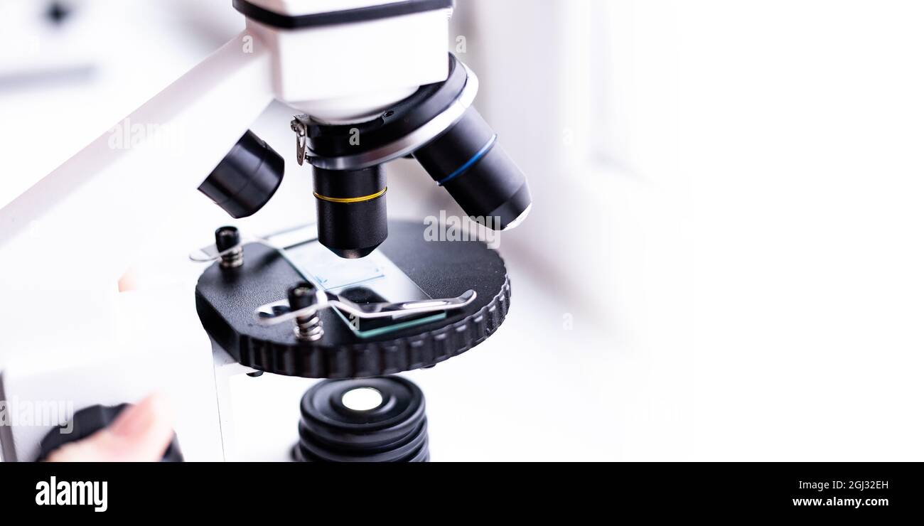 laboratoire médical, utilisation d'un microscope pour des échantillons biologiques chimiques examinant liquide, équipement, recherche scientifique et médicale, microscopique Banque D'Images