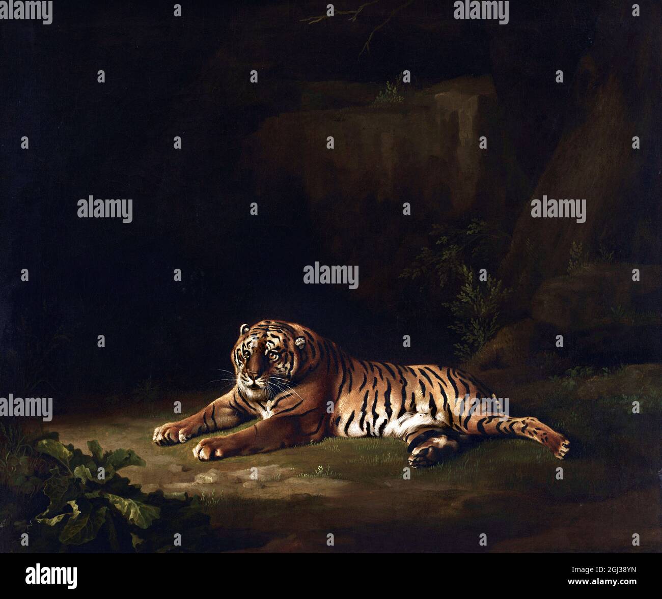 Tigre de George Stubbs (1724-1806), huile sur toile, 1769/71 Banque D'Images