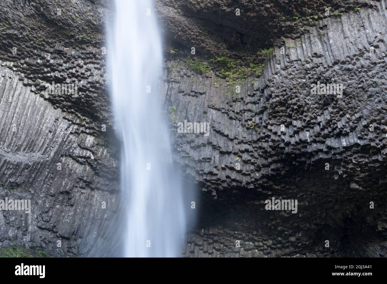 Colonnade dans le débit de basalte de la Grande ronde -- du Columbia River Basalt Group (CRBG), Latourell Falls, Oregon Banque D'Images