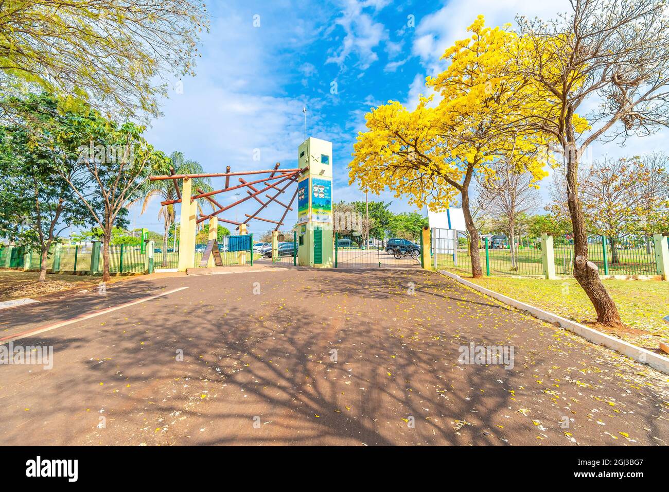 Campo Grande, MS, Brésil - 05 septembre 2021 : magnifique Ipe jaune à côté de l'entrée Guarani du Parc des Nations indigènes. Banque D'Images