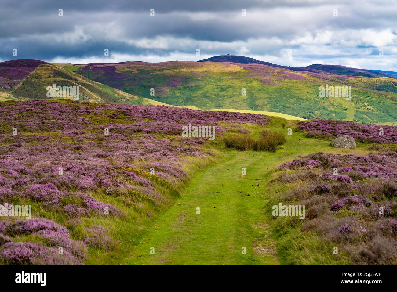 Vue de Penycloddiau à Moel Arthur Moel Famau Banque D'Images