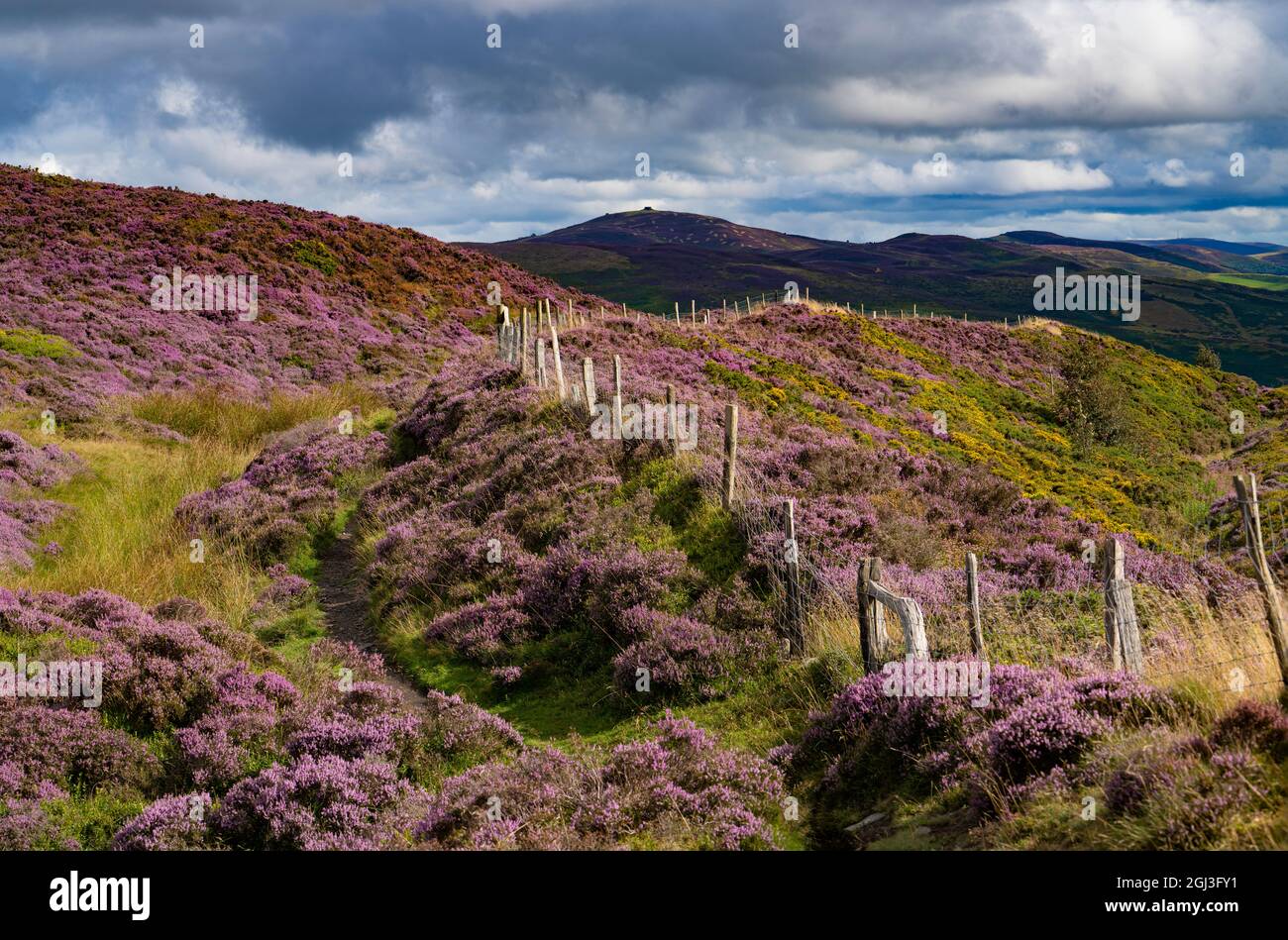 Vue de Penycloddiau à Moel Famau Banque D'Images