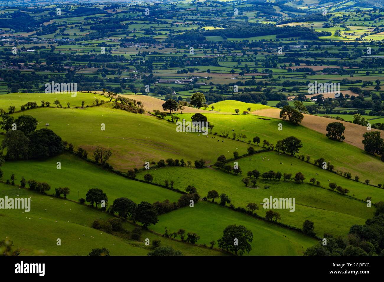 Vue de Penycloddiau à Denbigh Banque D'Images