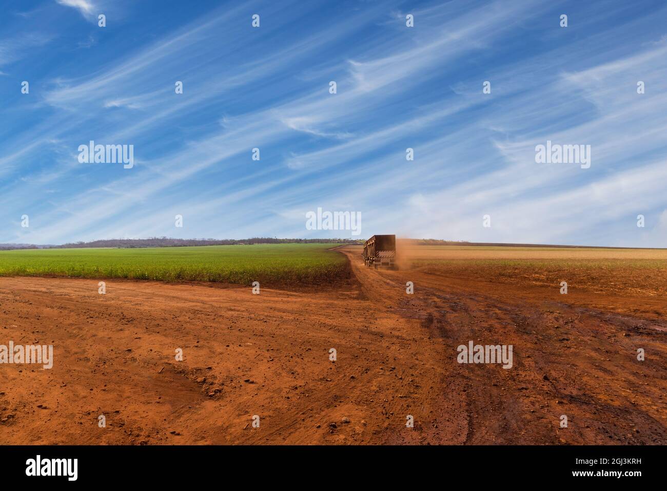 Camion de campagne transportant de la canne à sucre à l'usine par une journée nuageux Banque D'Images