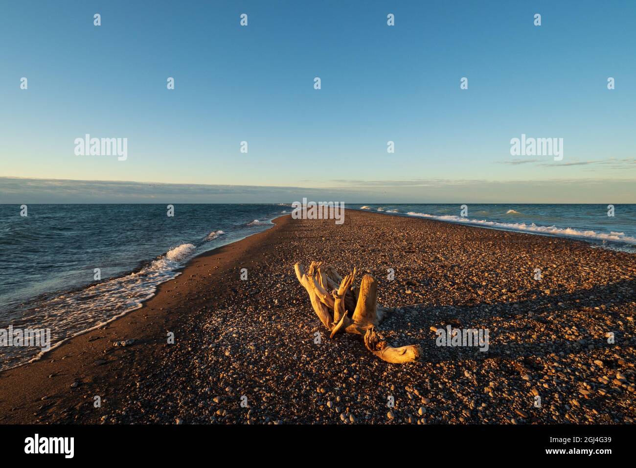 Le bois de Driftwood jette une longue ombre sur la plage de galets au lever du soleil à la pointe de la pointe Pelée du parc national de la Pointe-Pelée Banque D'Images