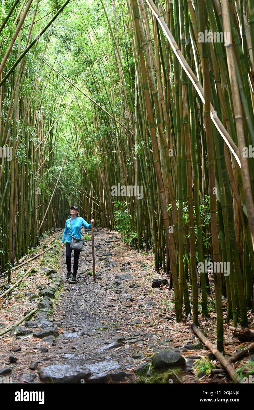 MAUI, HAWAÏ, ÉTATS-UNIS... VUES LE LONG DE L'AUTOROUTE HANA... RANDONNÉE SUR LE SENTIER PIPIPIWIWAI (BAMBOU) JUSQU'AUX CHUTES DE WAIMOOKU Banque D'Images