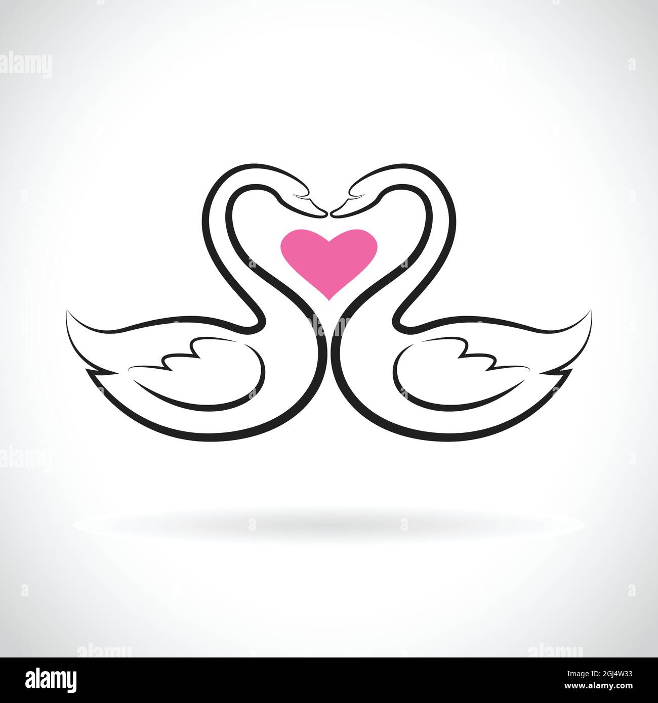 Vecteur de deux cygnes amoureux et coeur rose sur fond blanc. Wild Animals. Logo ou icône Swans. Illustration vectorielle superposée facile à modifier. Illustration de Vecteur