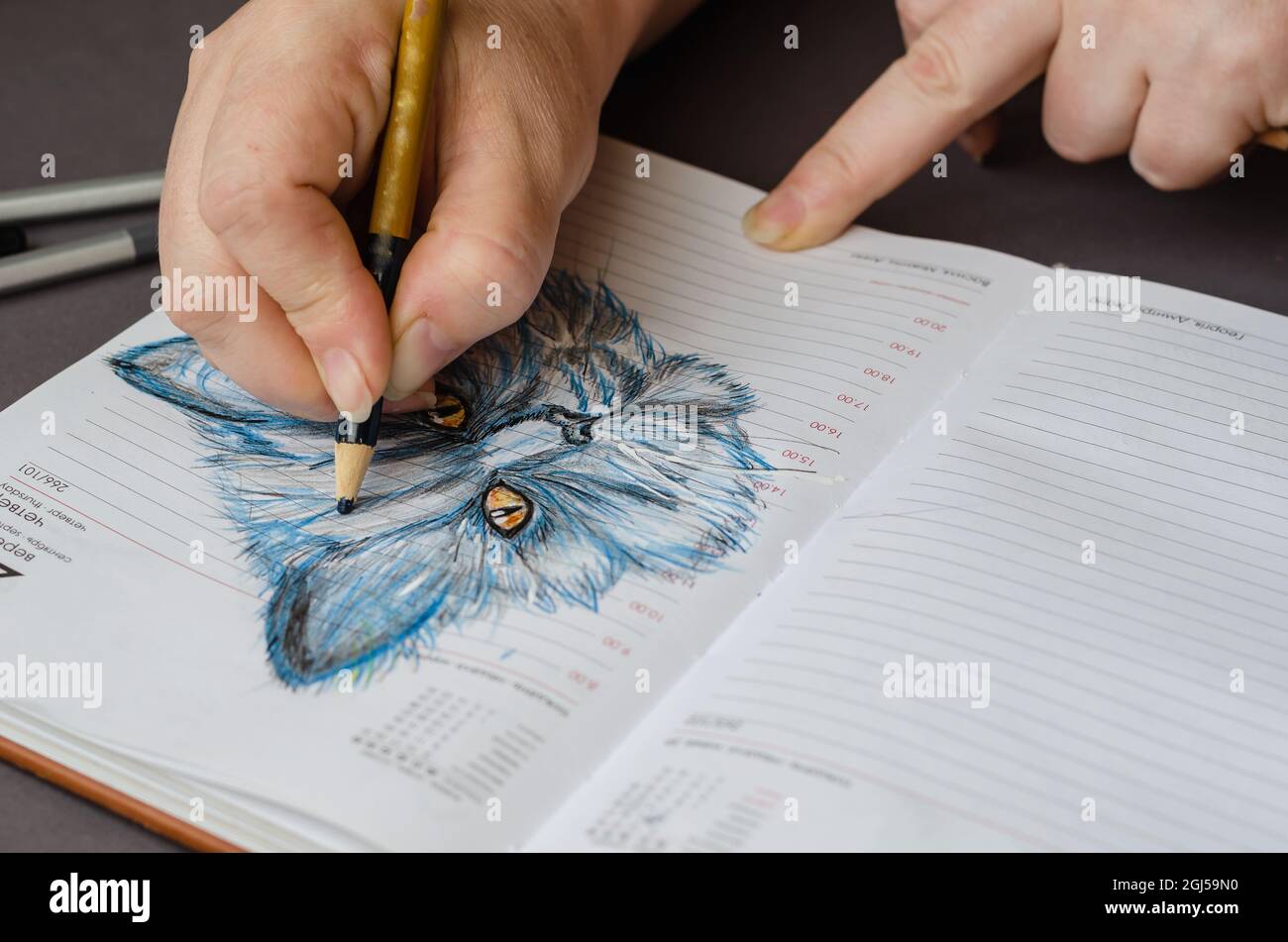 Une femme dessine un chat dans des crayons de couleur sur les pages d'un d ouvert Banque D'Images