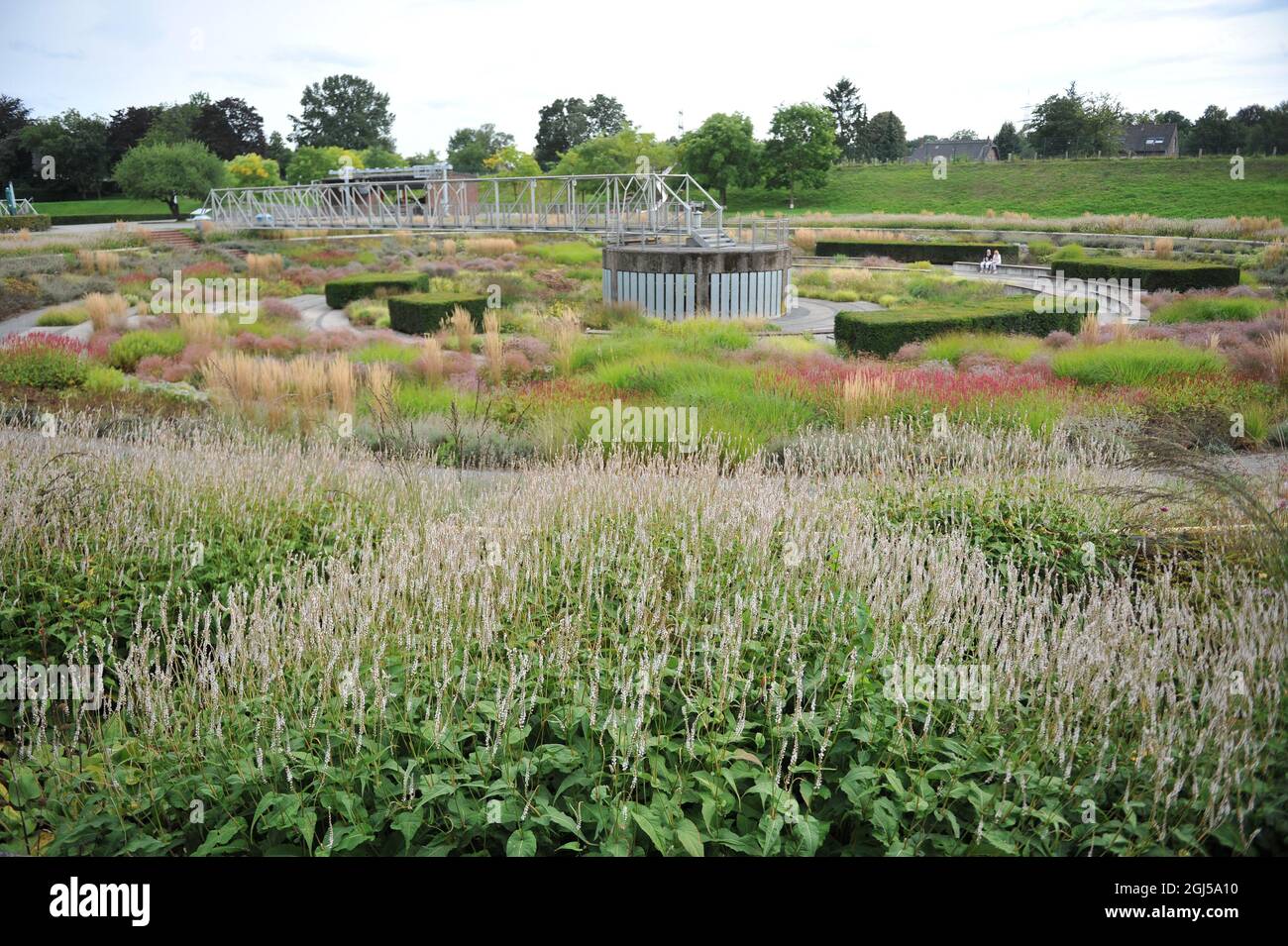 BOTTROP, ALLEMAGNE - 21 AOÛT 2021 : plantation dans un style de prairie vivace conçu par Piet Oudolf dans le parc public de Berne Banque D'Images