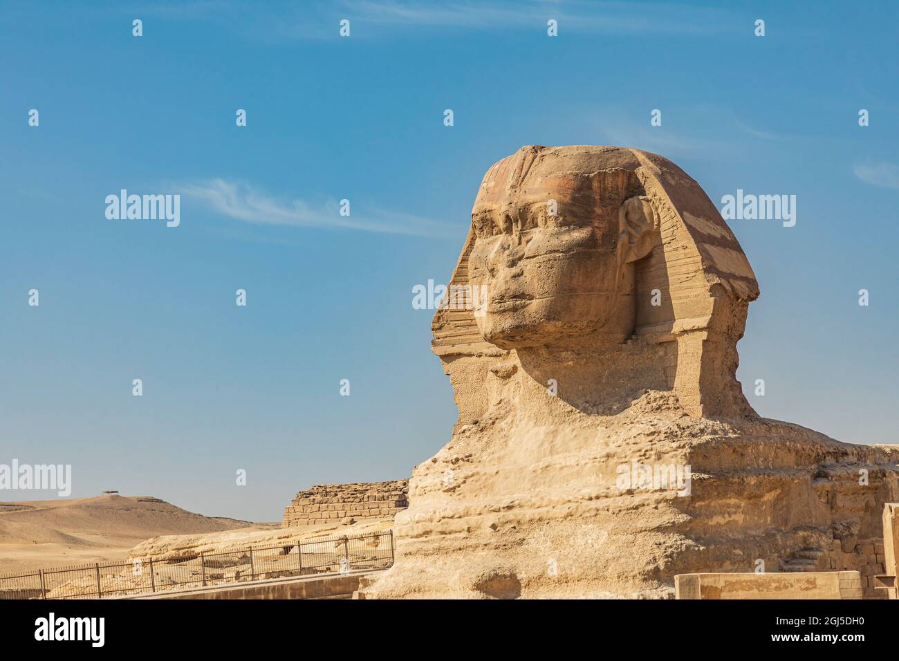 L'Afrique, l'Egypte, Le Caire. Plateau de Gizeh. Grand Sphinx de Gizeh en face de la grande pyramide de Gizeh. Banque D'Images