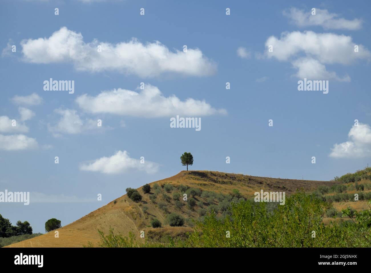 Paysage minimal en Sicile nuages blancs au-dessus de l'arbre sur le sommet de la colline Banque D'Images