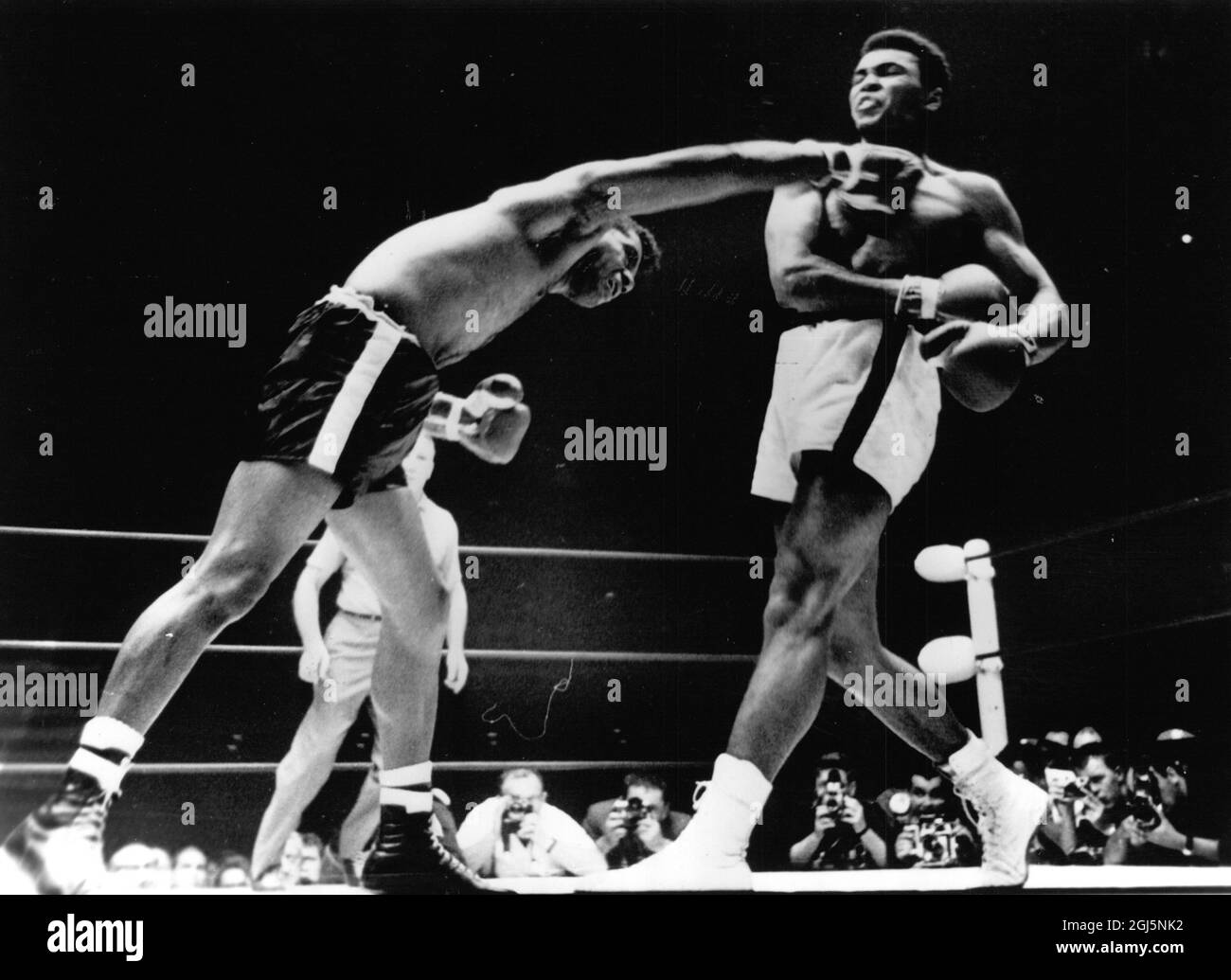 (Muhammad Ali) Cassius Clay boxeur américain dans l'anneau avec Floyd Patterson 1965 Banque D'Images