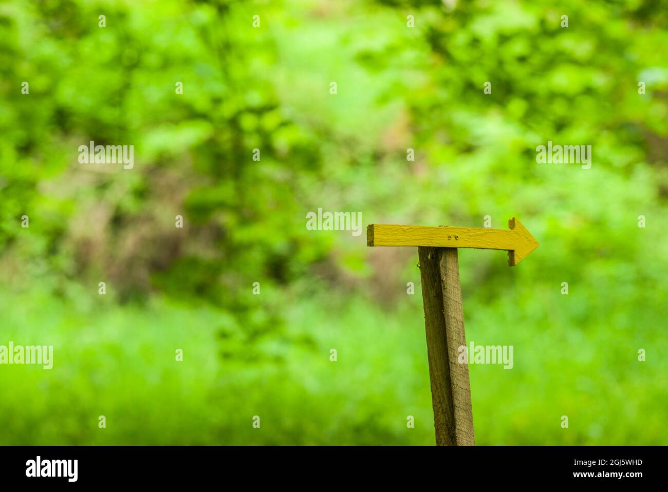 Géorgie, Borjomi-Likani. Célèbre station d'eau minérale, flèche directionnelle. Banque D'Images