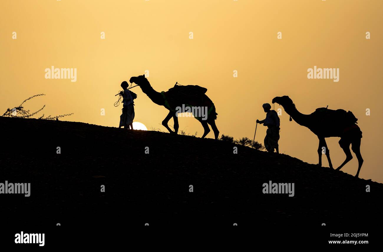 Inde, Gujarat, Bhuj, Grand Rann de Kutch, Tribe. Les chameaux et les tribesmen sont silhouetés par le soleil couchant. Banque D'Images