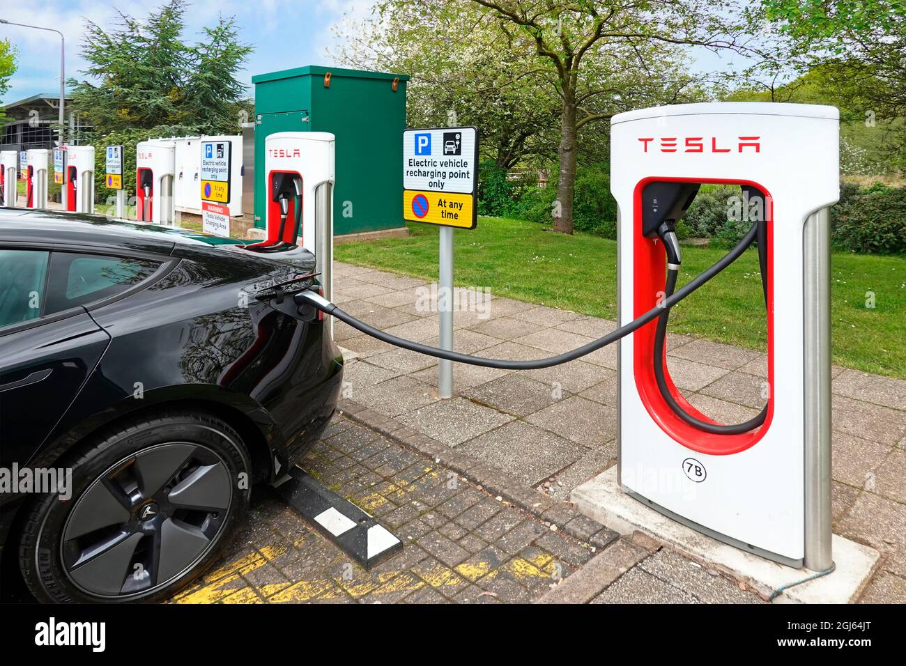 Voitures électriques adaptées au changement climatique en charge dans les rangées de parkings de Tesla à la station de service d'autoroute M42 de Welcome Break Birmingham, Royaume-Uni Banque D'Images