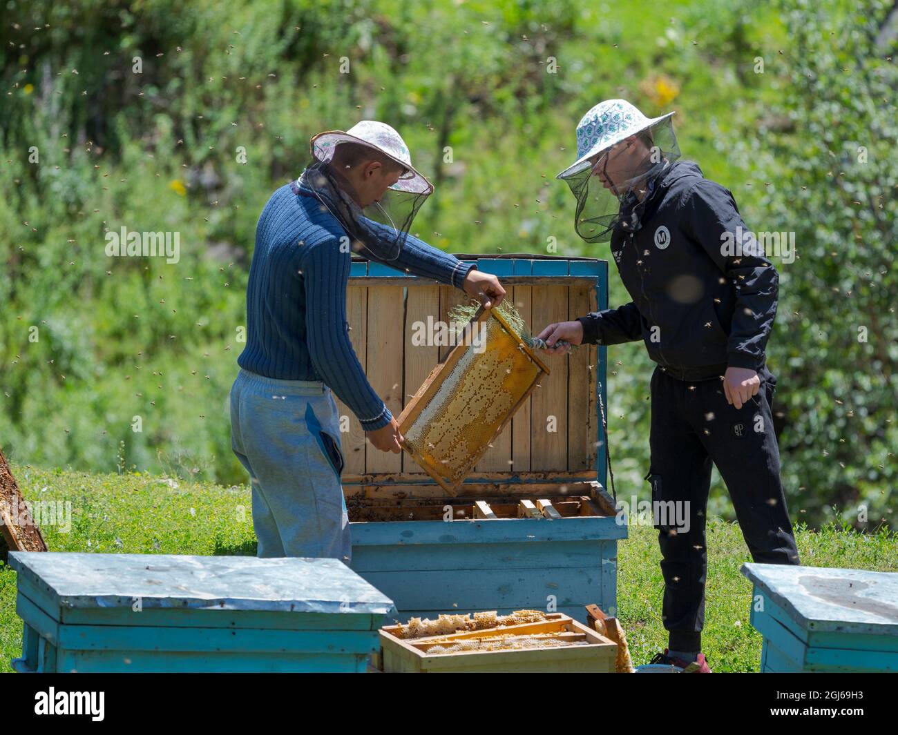 Des apiculteurs près de la route de montagne de Jalal-Abad (Dzhalal-Abad, Djalal-Abad, Jalalalabad) à la montagne col Urum Basch Ashuuusu dans la montagne Tien Shan Banque D'Images