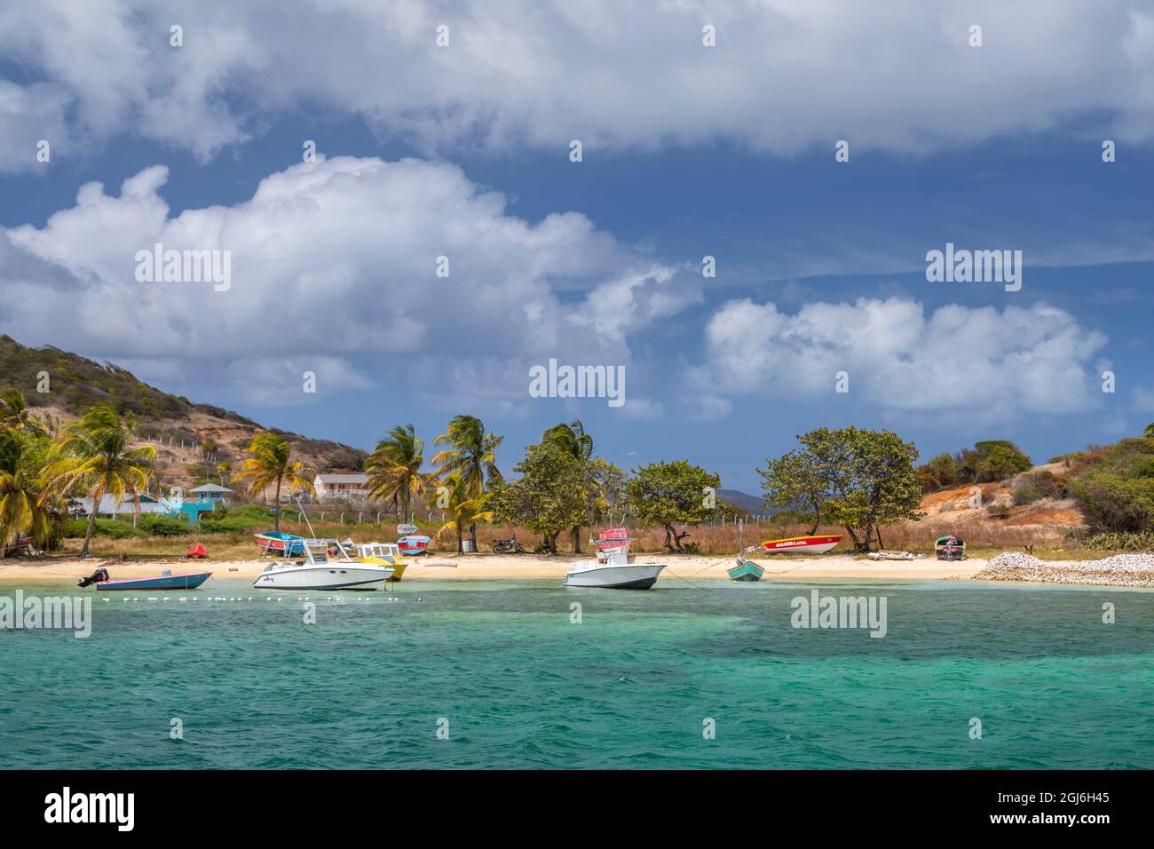 Caraïbes, Grenade, Union Island. Bateaux à l'ancre dans le port de Clifton. Credit AS: Don Paulson / Galerie Jaynes / DanitaDelimont. com Banque D'Images