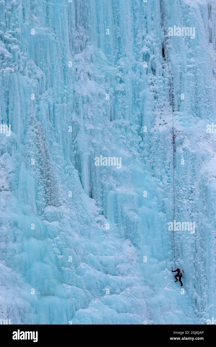 Grimpeur de glace sur le mur de pleurage, dans le parc national Banff, Alberta, Canada. Banque D'Images