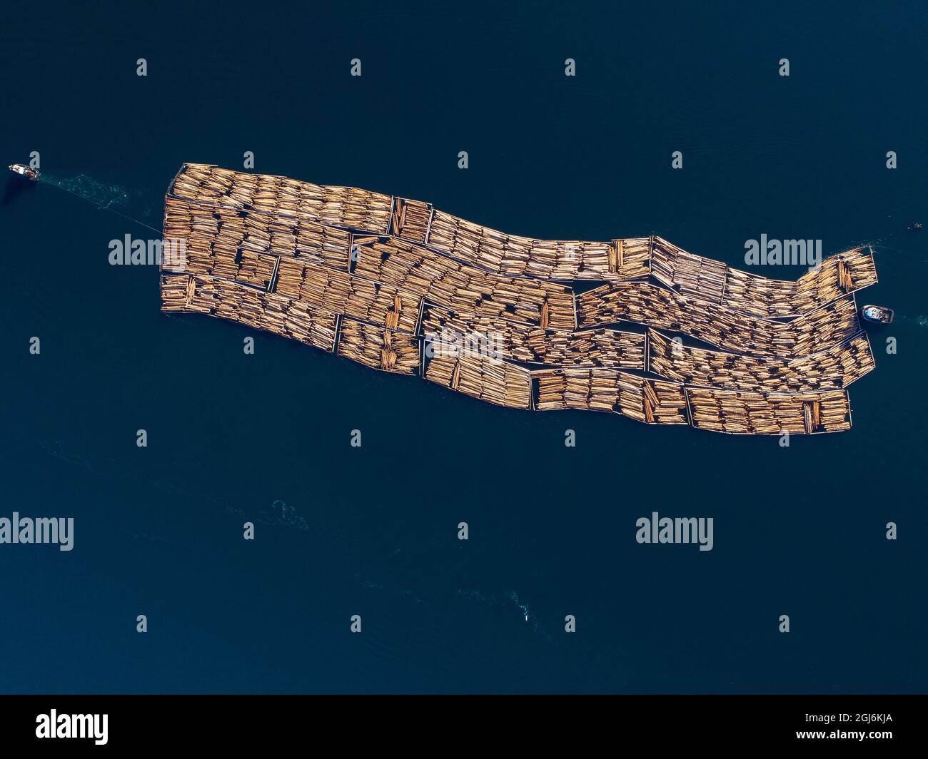 Le Canada, la Colombie-Britannique, Campbell River, vue aérienne de remorqueurs de la rampe de remorquage frais coupé de sciage vers Seymour Narrows le long de l'île de Vancouver sur somme Banque D'Images