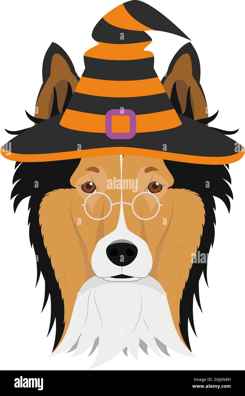 Carte de voeux pour Halloween. Collie Rough habillé comme une sorcière avec des lunettes et chapeau noir et orange Illustration de Vecteur