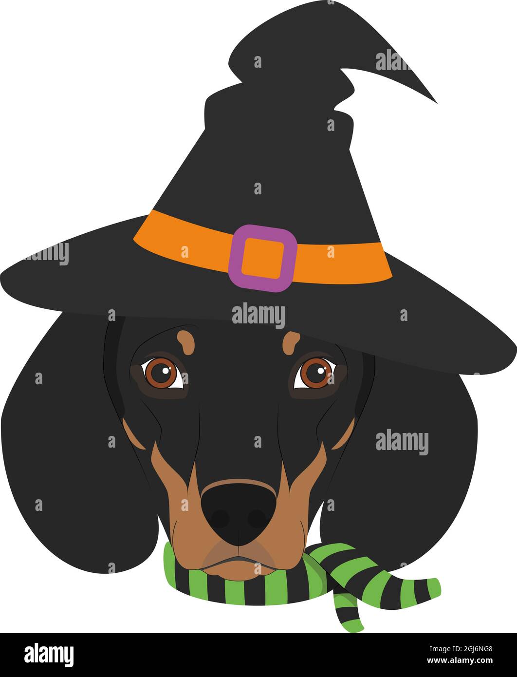 Carte de voeux pour Halloween. Dachshund chien habillé comme une sorcière avec chapeau noir et foulard vert et noir Illustration de Vecteur
