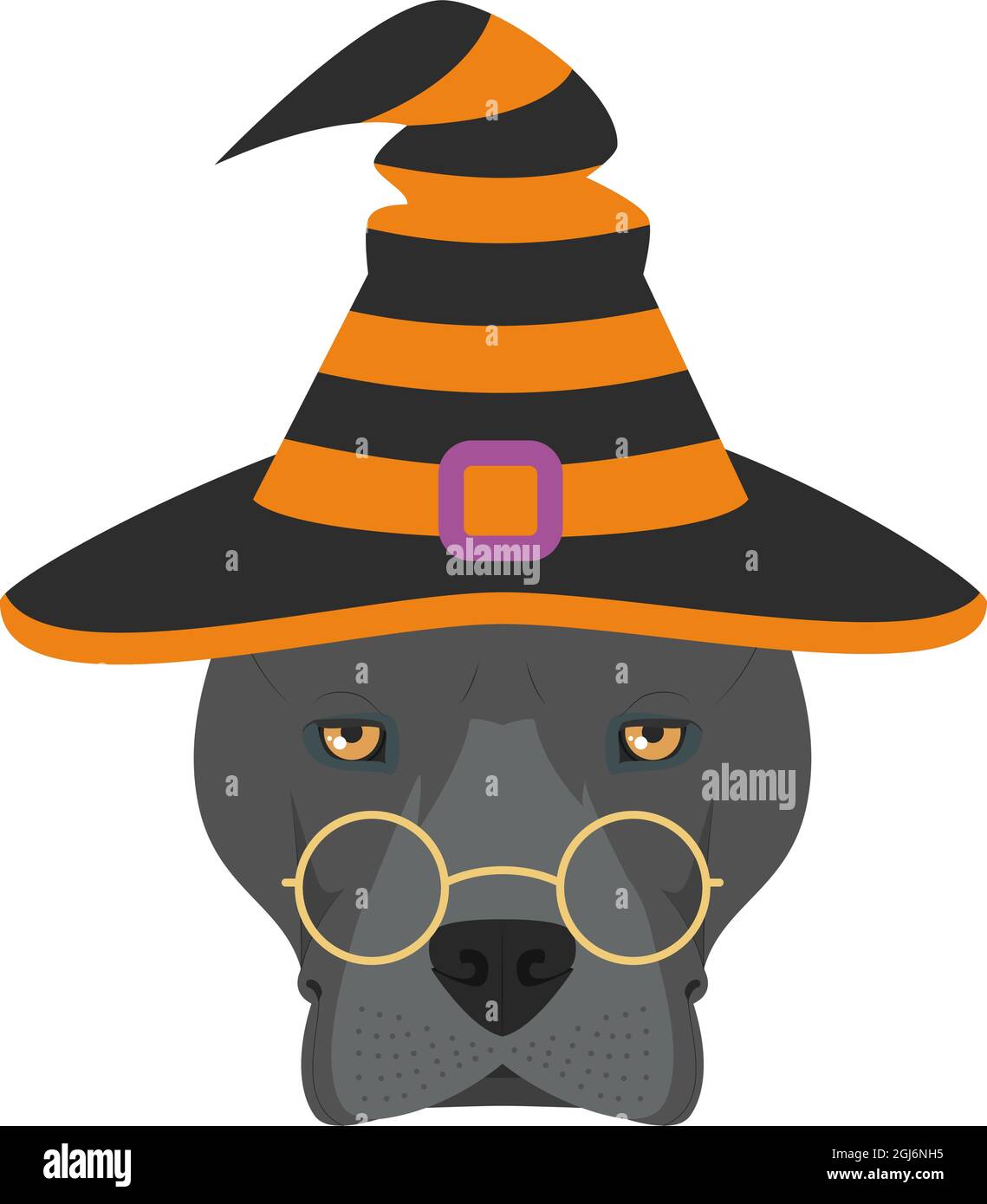 Carte de voeux pour Halloween. Chien américain Staffordshire Terrier habillé comme une sorcière avec des lunettes et un chapeau noir et orange Illustration de Vecteur