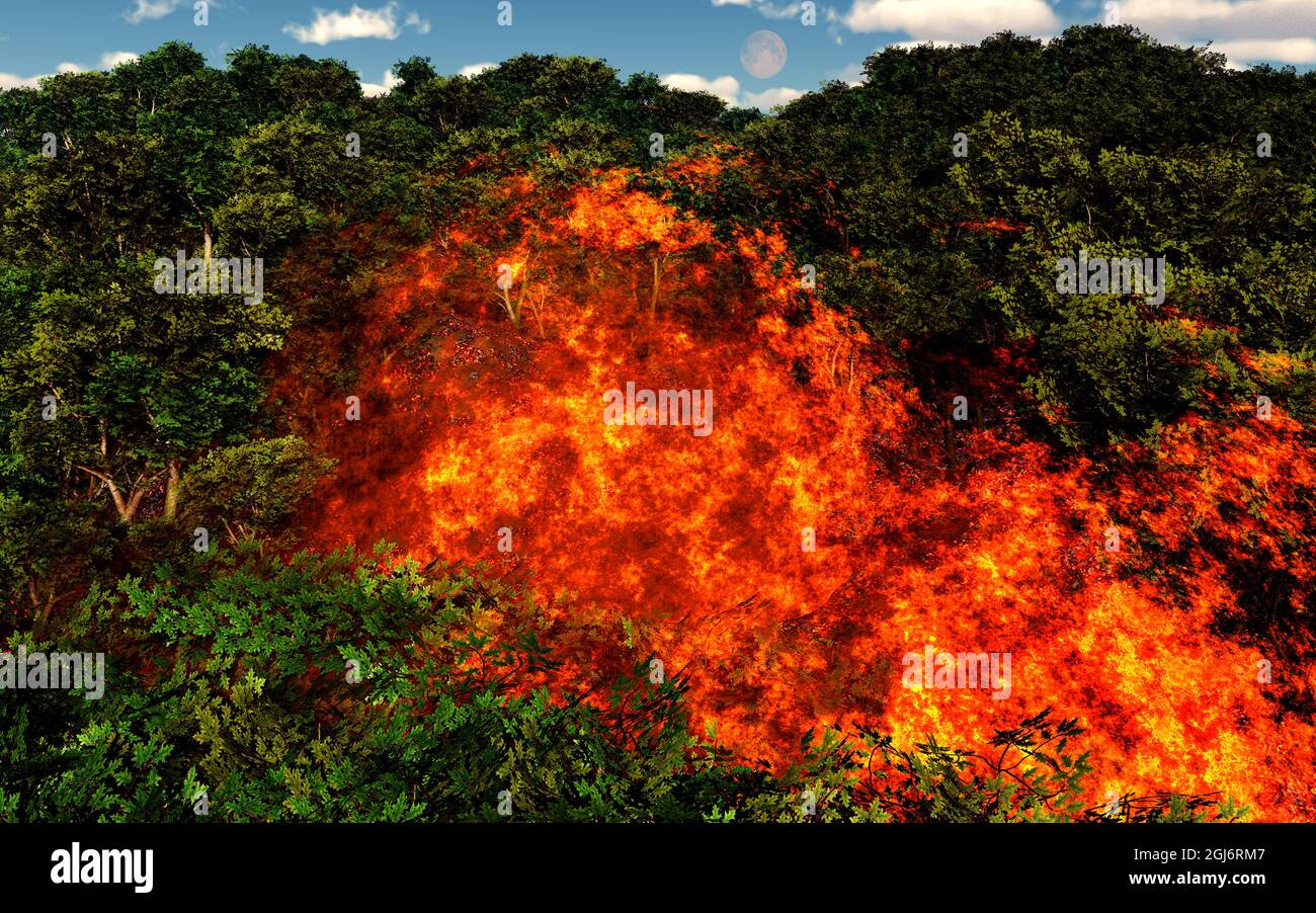 Feu de forêt Banque D'Images