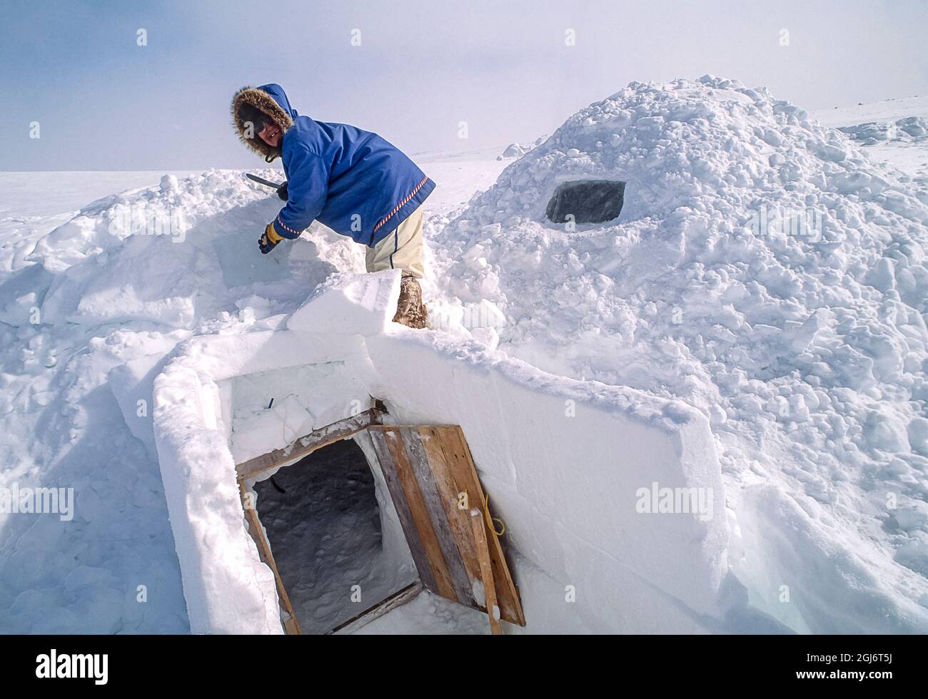 Baker Lake, Nunavut, Canada. Homme aîné inuit, habillé de vêtements modernes de l'arctique, travaillant au sommet d'un igloo traditionnel avec un couteau utilisé pour la construction d'igloo Banque D'Images