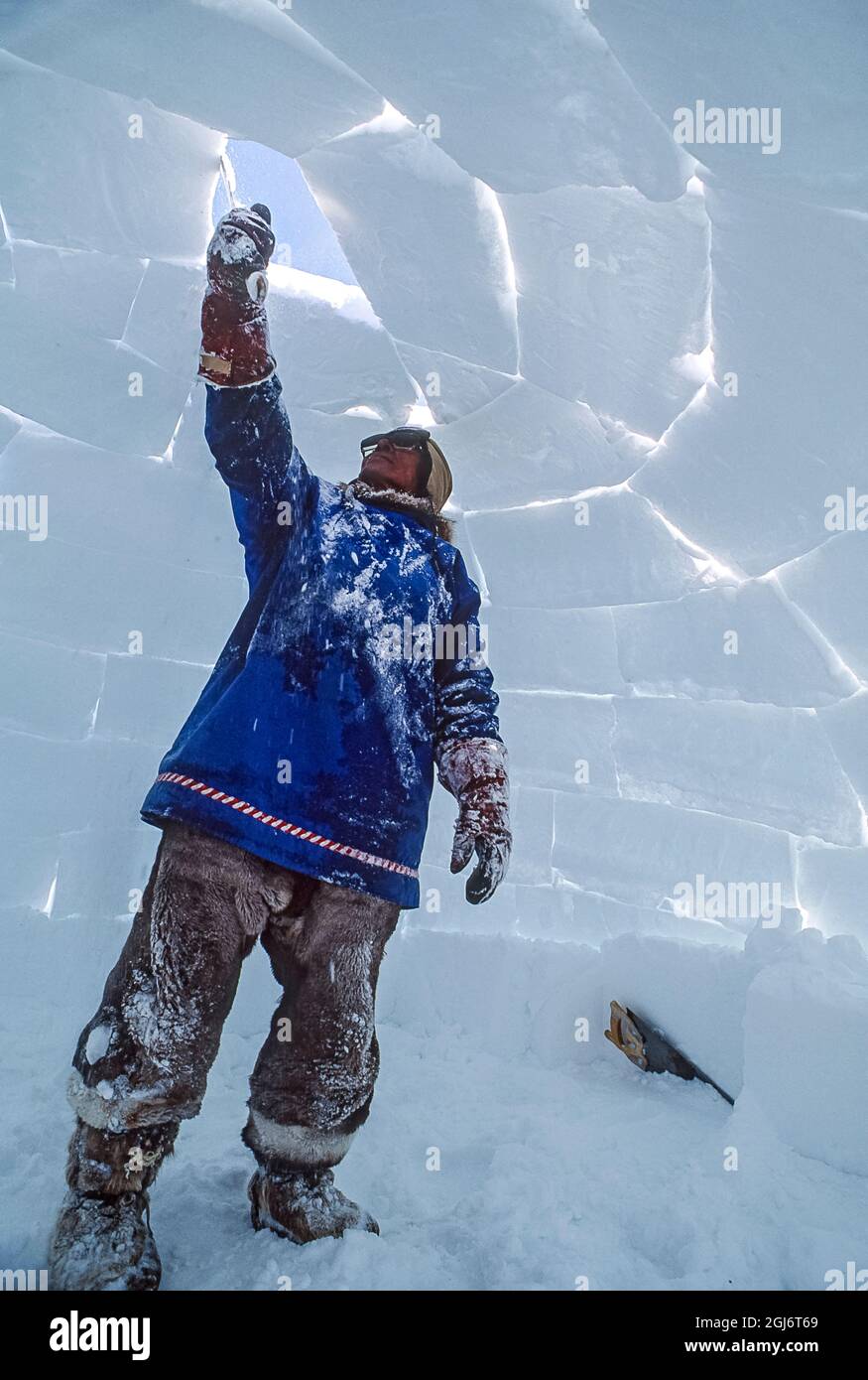 Baker Lake, Nunavut, Canada. Homme aîné inuit, habillé de vêtements modernes de l'arctique, construisant des igloo en sculptant des blocs de neige et en les plaçant soigneusement. THI Banque D'Images
