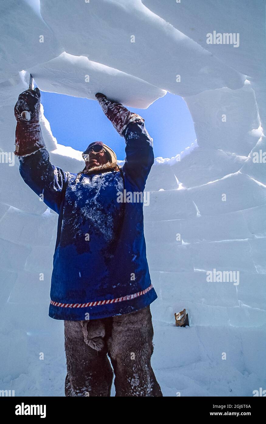 Baker Lake, Nunavut, Canada. Homme aîné inuit, habillé de vêtements modernes de l'arctique, construisant des igloo en sculptant des blocs de neige et en les plaçant soigneusement. THI Banque D'Images