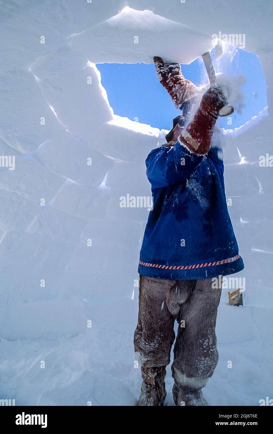 Baker Lake, Nunavut, Canada. Homme aîné inuit, habillé de vêtements modernes de l'arctique, construisant des igloo en sculptant des blocs de neige et en les plaçant soigneusement. THI Banque D'Images