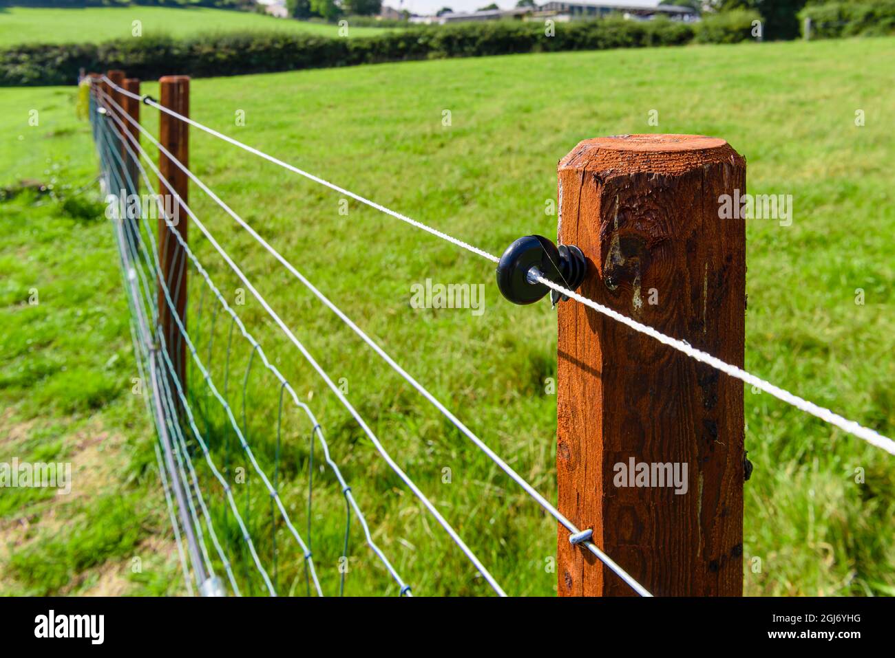 Fil électrique de clôture le long d'une clôture au milieu d'un champ. Banque D'Images