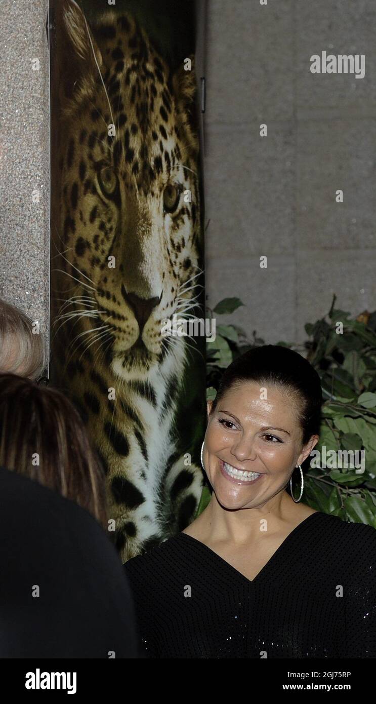 La princesse de la Couronne suédoise Victoria arrive au dîner de charité de la Fondation Nordens Ark au Musée d'histoire naturelle de Stockholm, à Swedenj, le mercredi 28 septembre 2011. Banque D'Images