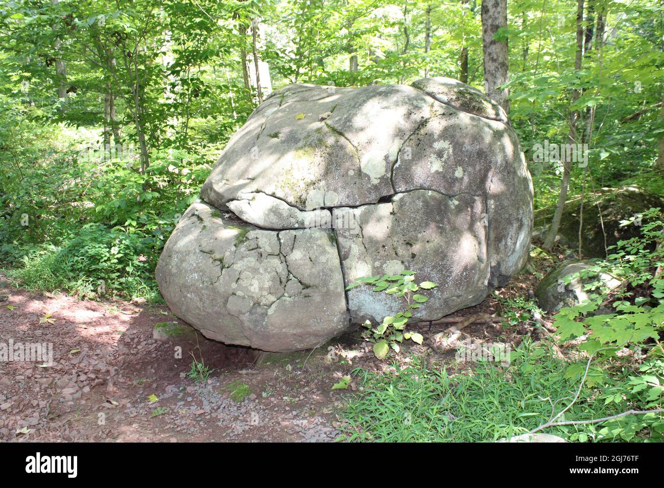 Un grand Boulder près d'un chemin de forêt Banque D'Images