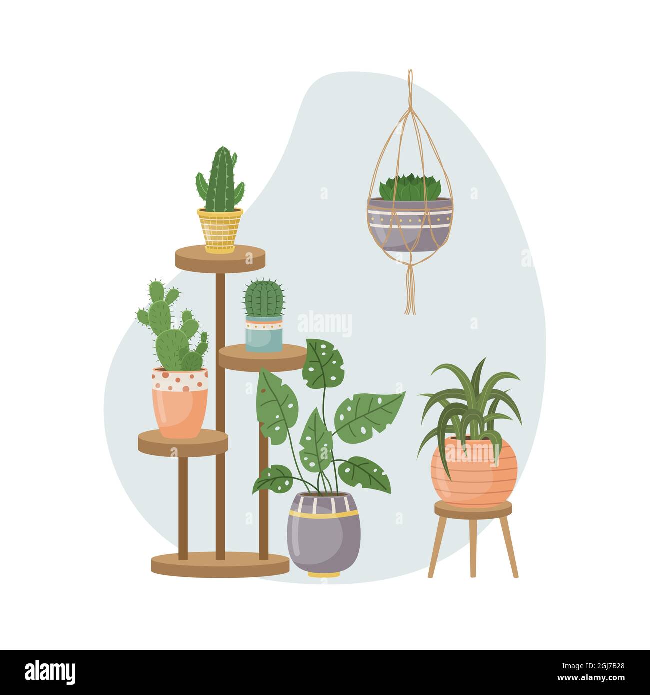 L'illustration plate avec des pantalons de maison dans des pots. Plantation. Plantes décoratives à l'intérieur de la maison. Style plat. Illustration de Vecteur