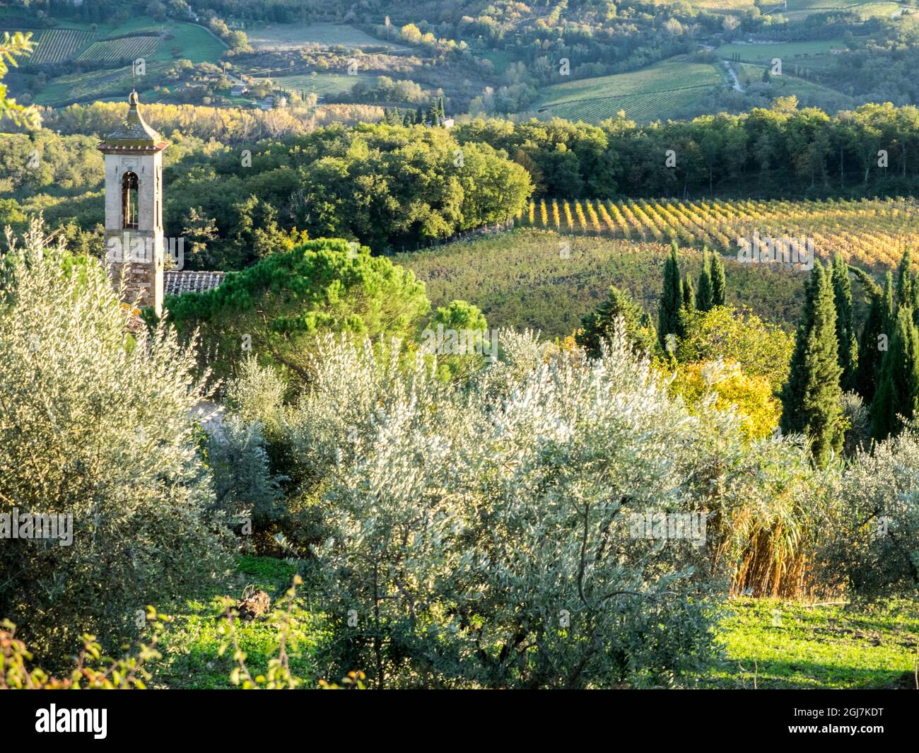 Europe, Italie, Chianti. Pieve di Santa Maria Novella près de Radda in Chianti. Banque D'Images