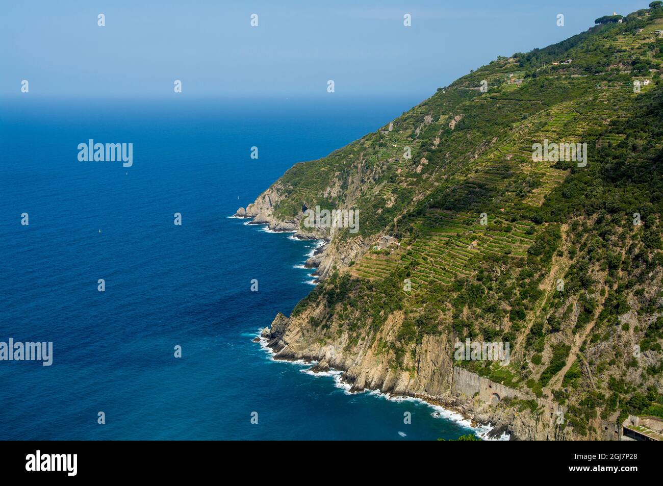 Côte du parc national des Cinque Terre au sud de Riomaggiore, Cinque Terre, Italie. Banque D'Images