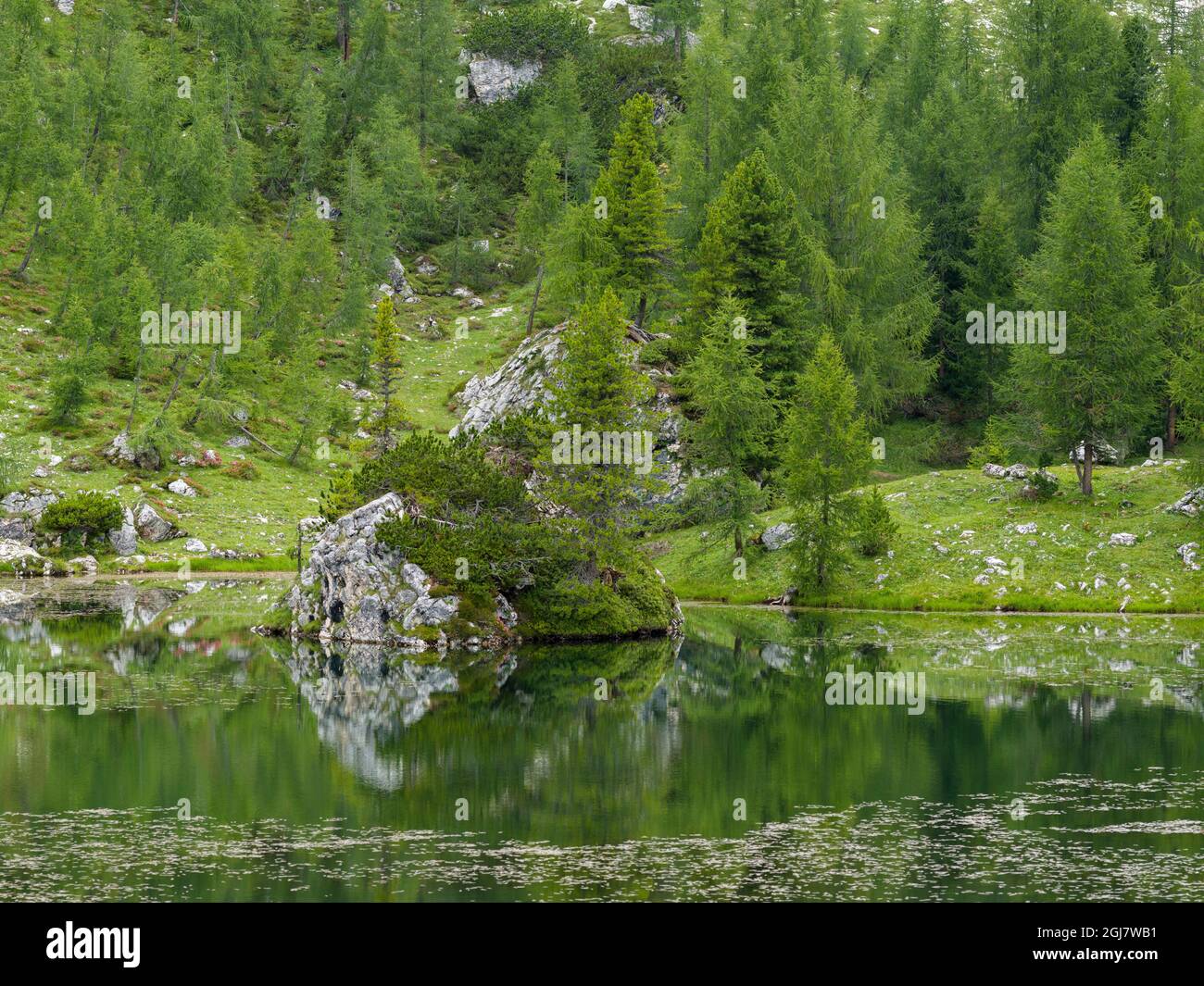 Lago de Federa à Croda da Lago dans les Dolomites de la Vénétie près de Cortina d'Ampezzo. Partie du site du patrimoine mondial de l'UNESCO, Italie. Banque D'Images