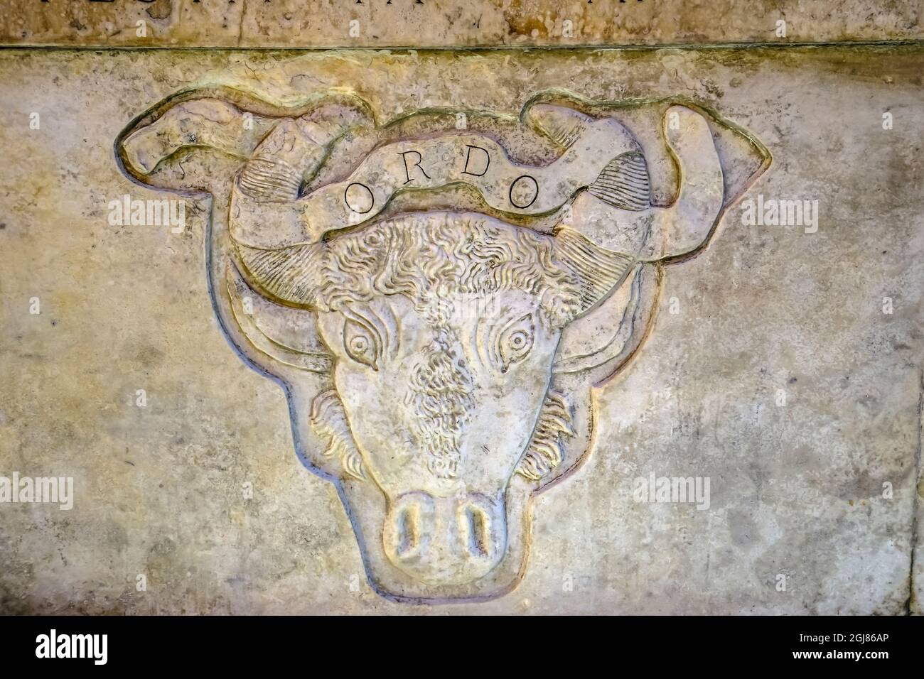 Roman Ox Cow Statue Drinking Fountain End Aqueduct, Rome, Italie. Une des nombreuses fontaines anciennes de Rome des aqueducs Banque D'Images