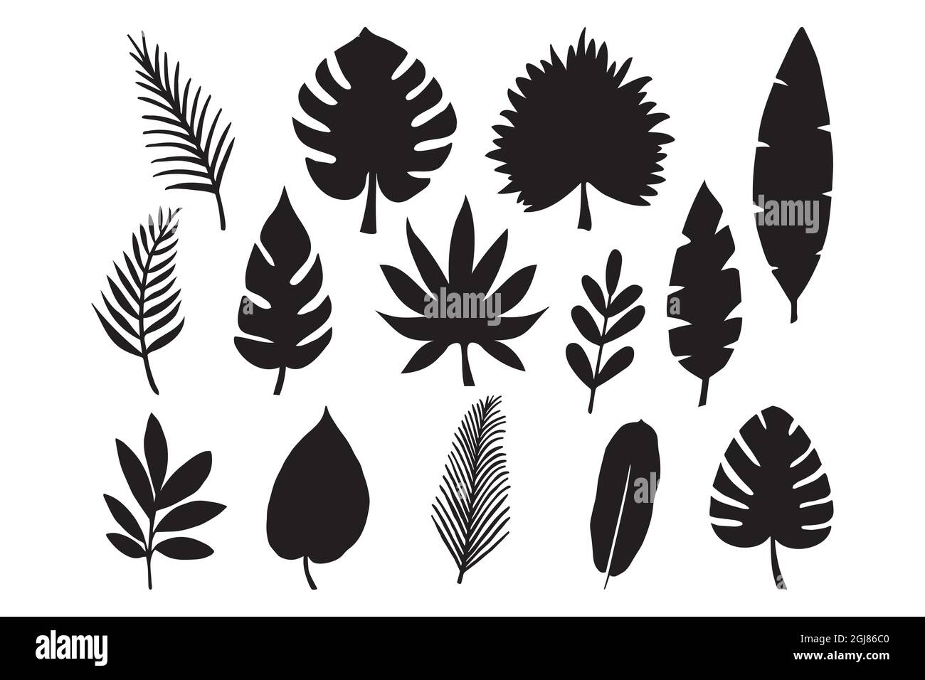 collection de feuilles tropicales dans illustration vectorielle dessinée à la main Illustration de Vecteur collection de feuilles tropicales dans illustration vectorielle dessinée à la main Illustration de Vecteur
